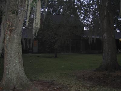 House with Oaks