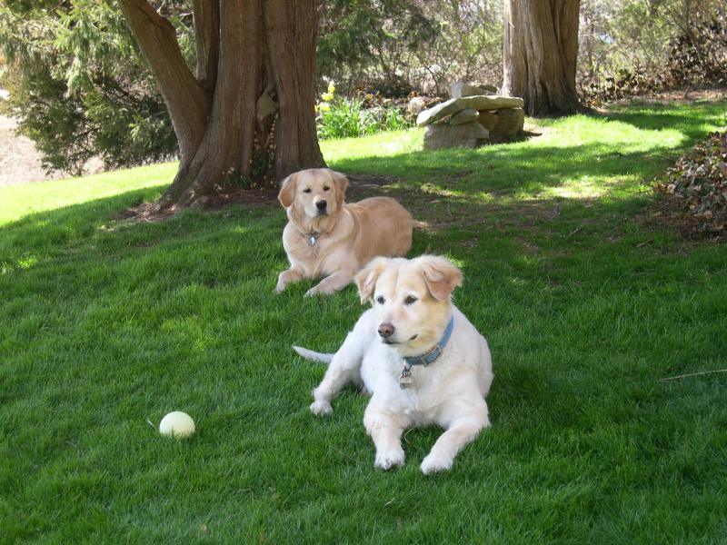 Muffin and Zara