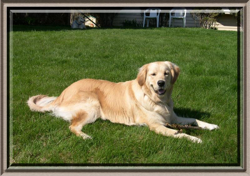 Pretty girl!