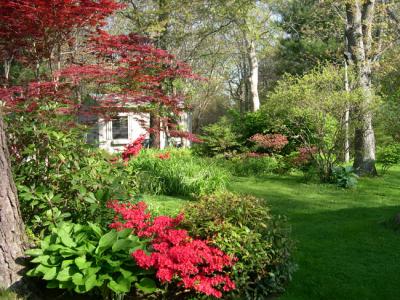 Azalea alley we callit