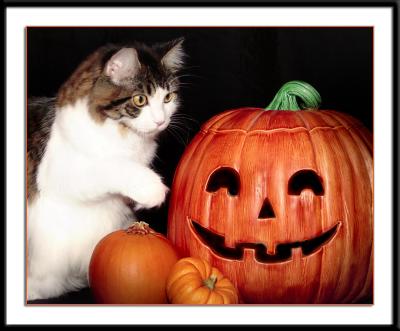 Sofia's 1st Jack-o-Lantern