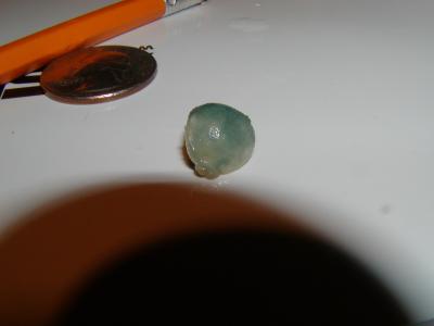 u45/fhludlow/medium/28912789.beerkegmushroom4.jpg