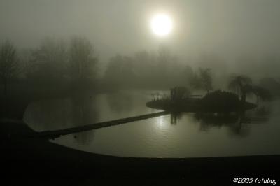 Alton Baker Pool in early morning fog