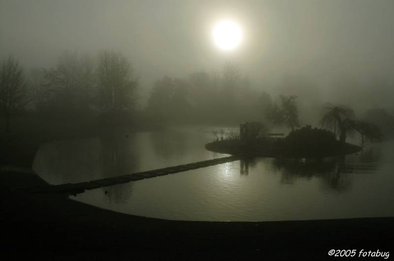 Alton Baker Pool in early morning fog