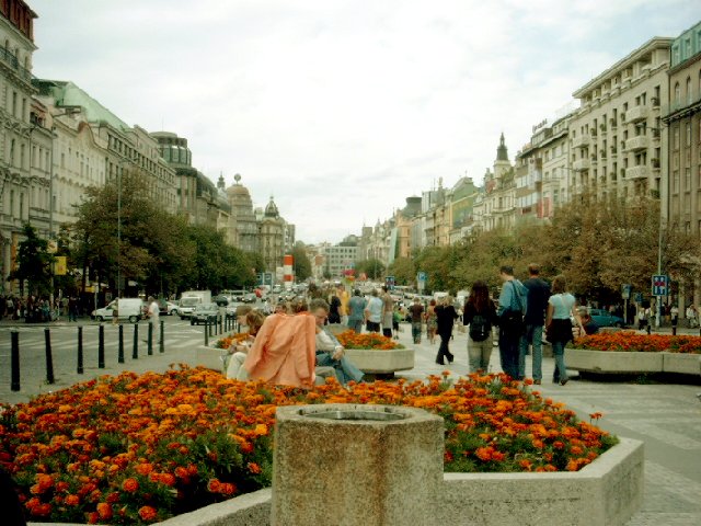 Boulevard in Prague.