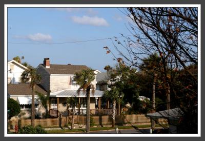 The View from the Porch