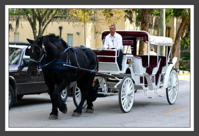 Horse Drawn Carriage