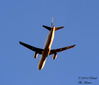 u45/fz10group/medium/39805698.TheAviator.jpg