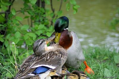 cw215_1530_1.jpg