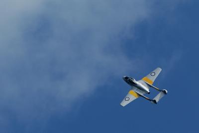 DSC_8968.jpg