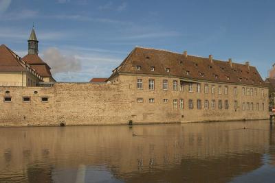u45/gbachmayer/medium/29481883.CRW_3706.jpg