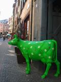 BASEL - GREEN COW