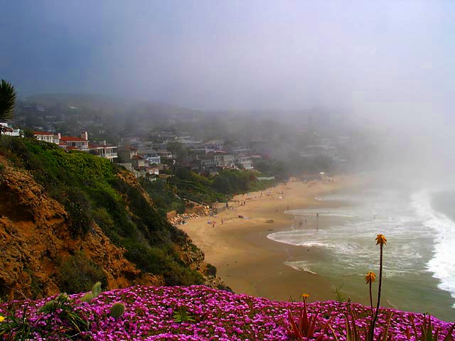 Foggy Crescent Bay