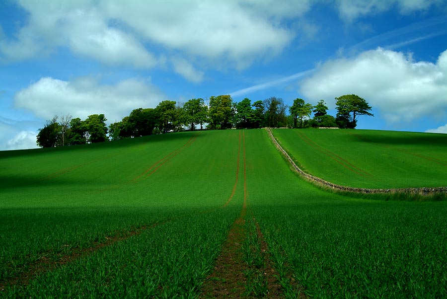 Kilbrackmont