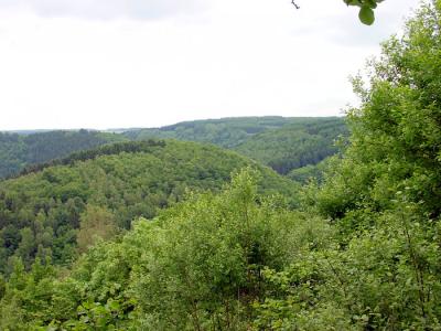 Ardennen_Nisramont.jpg