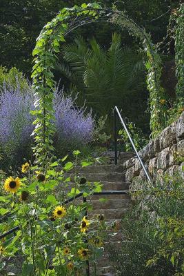 Jardin botanique Neuchtel