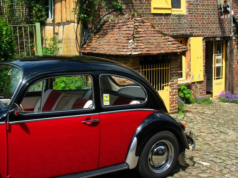 Coccinelle