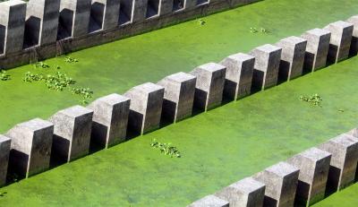 Moat
