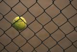 Tennis ball