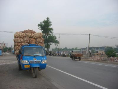 u45/grasshopper216/medium/29603413.Corncobsforfuel.jpg