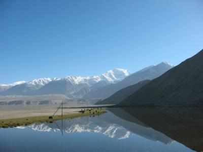 Reflections 1.jpg