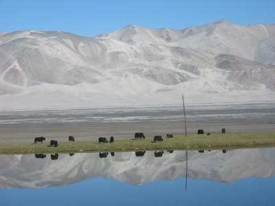 Reflections 2.jpg