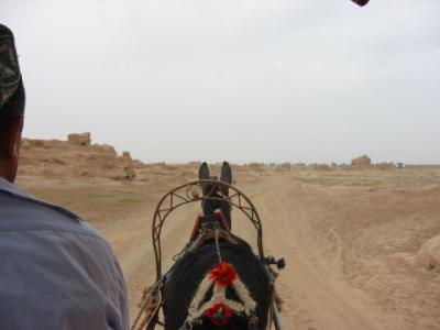 Gaochangs crooked donkey driver.jpg