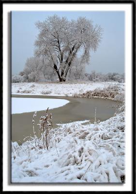 February Snow