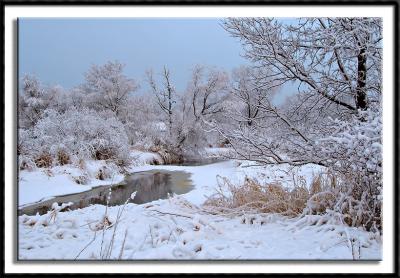 Wintry Rice Creek