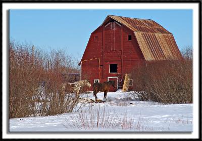 Barn on the Range