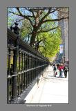 Fence of Osgoode Hall