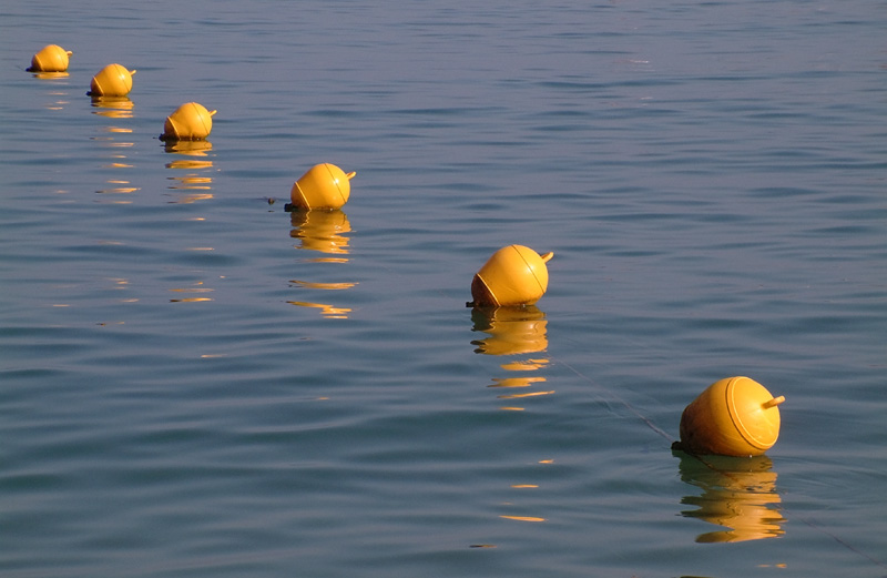26 Floats.