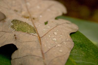 CRW_9415.jpg