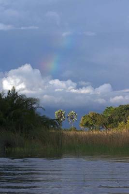 Jacana Camp