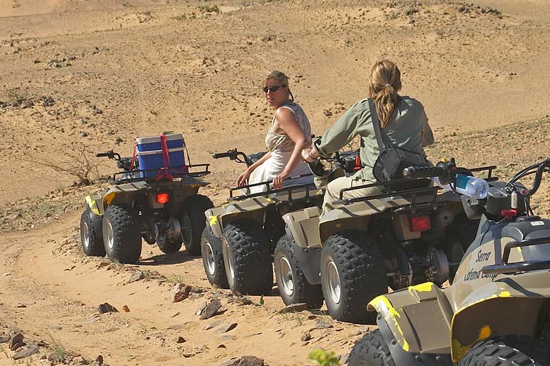 Preferred Mode of Transportation