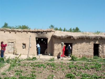  אוזבקיסטאן - נוף כפרי בין סמרקנד לשחריזאד