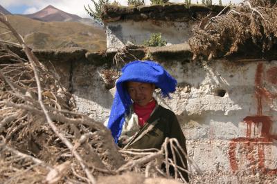 Tibet
