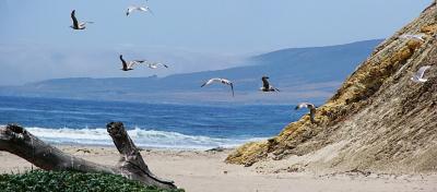 sdGullspan