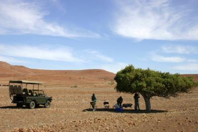 Desert Picnic