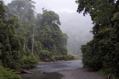 Danum Valley, Sabah
