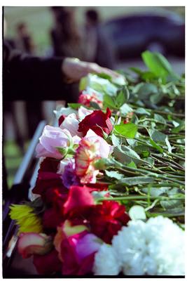 u45/herbertng/medium/39845178.WEBSHARPEN10124_filtered.jpg