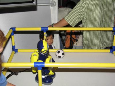 Soccer-playing robot?
