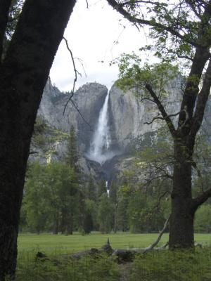 Yosemite Falls [D]