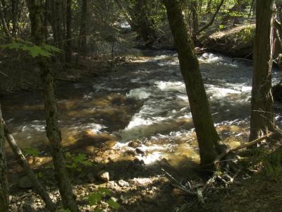 Tenaya Creek [D]