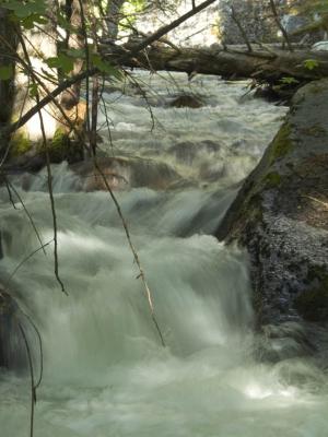 Rapids, Tenaya Creek [D]