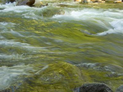 Reflections and Waves, Tenaya Creek [D]