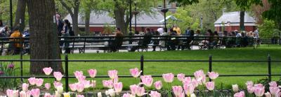 Park Visitors & Tulips WSP