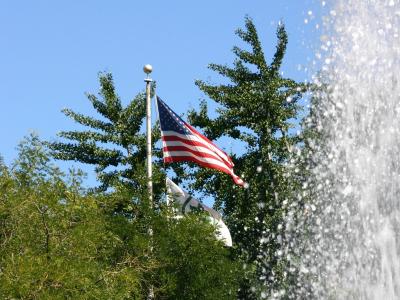 Full Blown Flags with Fountain Spray