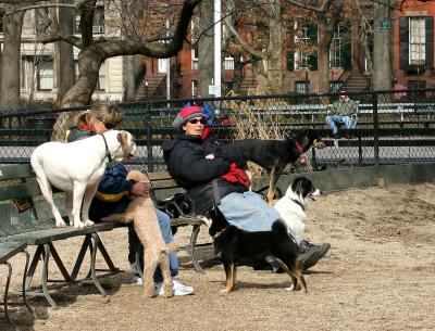 At the  Dog Run in Washington Square Park