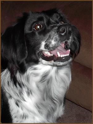 Baillee 9 months